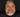 Mastering Anterior Cosmetic Restorations: The Best Techniques